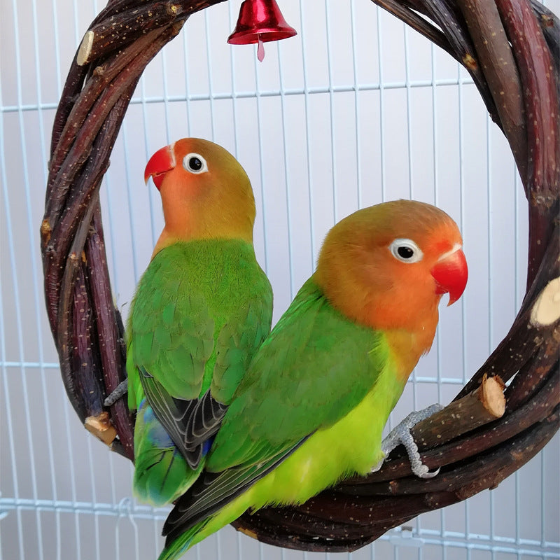 Bird Standing Frame Rattan Ring Chewing Toy Cage
