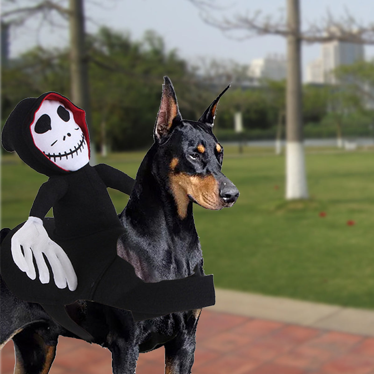 New Funny Pet Halloween Costume Pet Decoration Dress Up Pet Cosplay