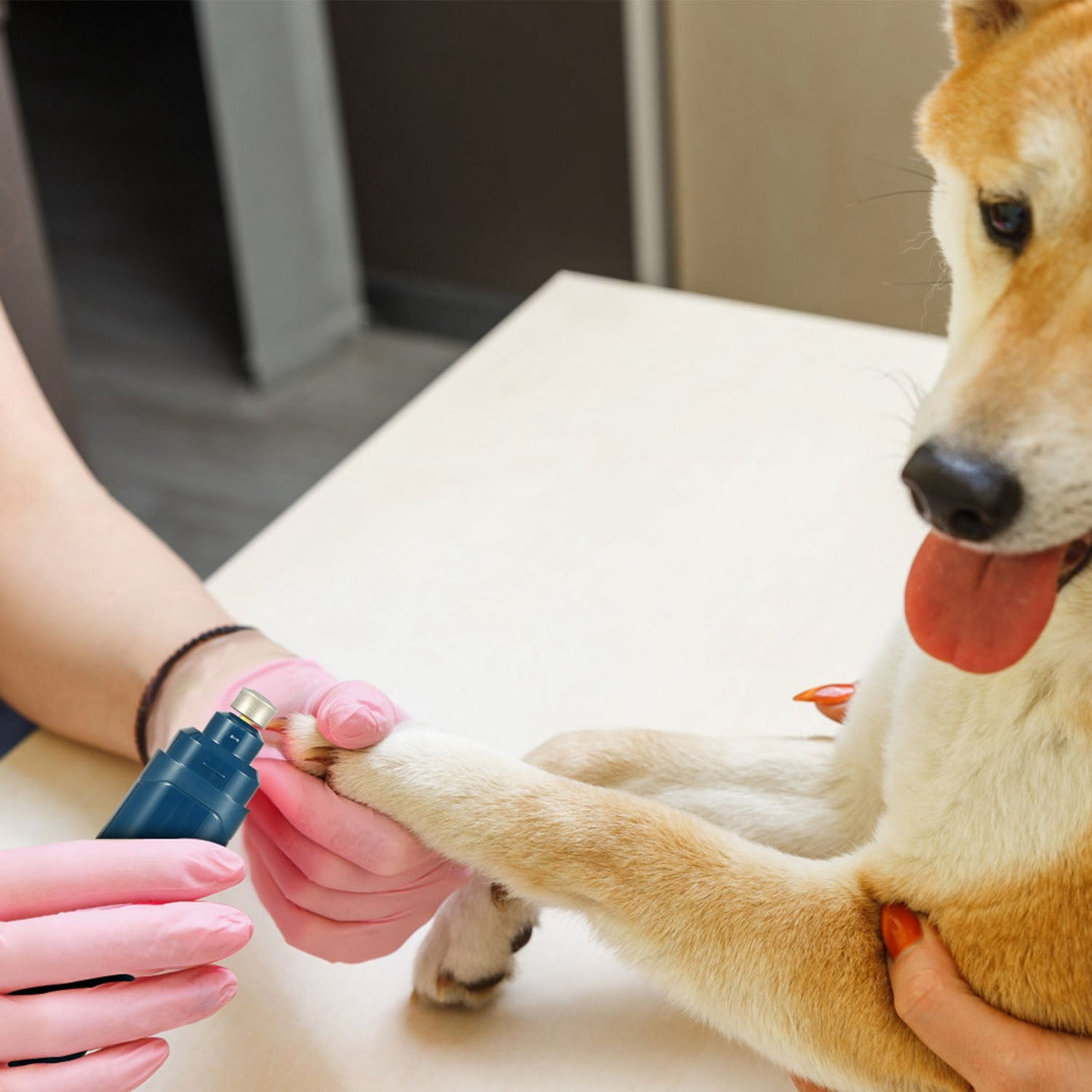1pc Dog Nail Grinder 2 Speeds Quiet USB Rechargeable Pet
