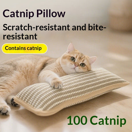Cat Toy Catnip Pillow Scratching Post