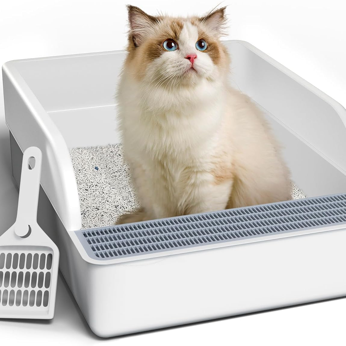 Open Cat Litter Box With High Side Anti-splashing Toilet