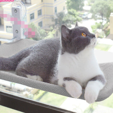 Cat Suction Cup Window Glass Hammock Pet Pets Products