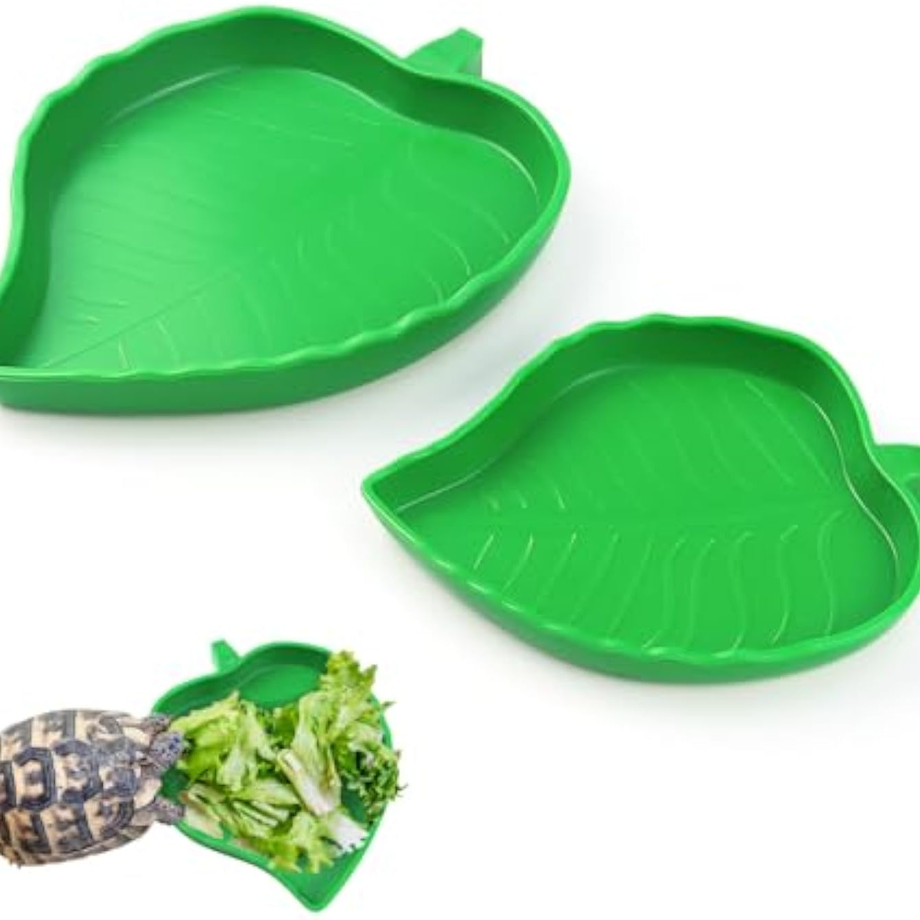 2 Pcs Leaf Reptile Food Water Bowl Plate Dish For Tortoise Lizards