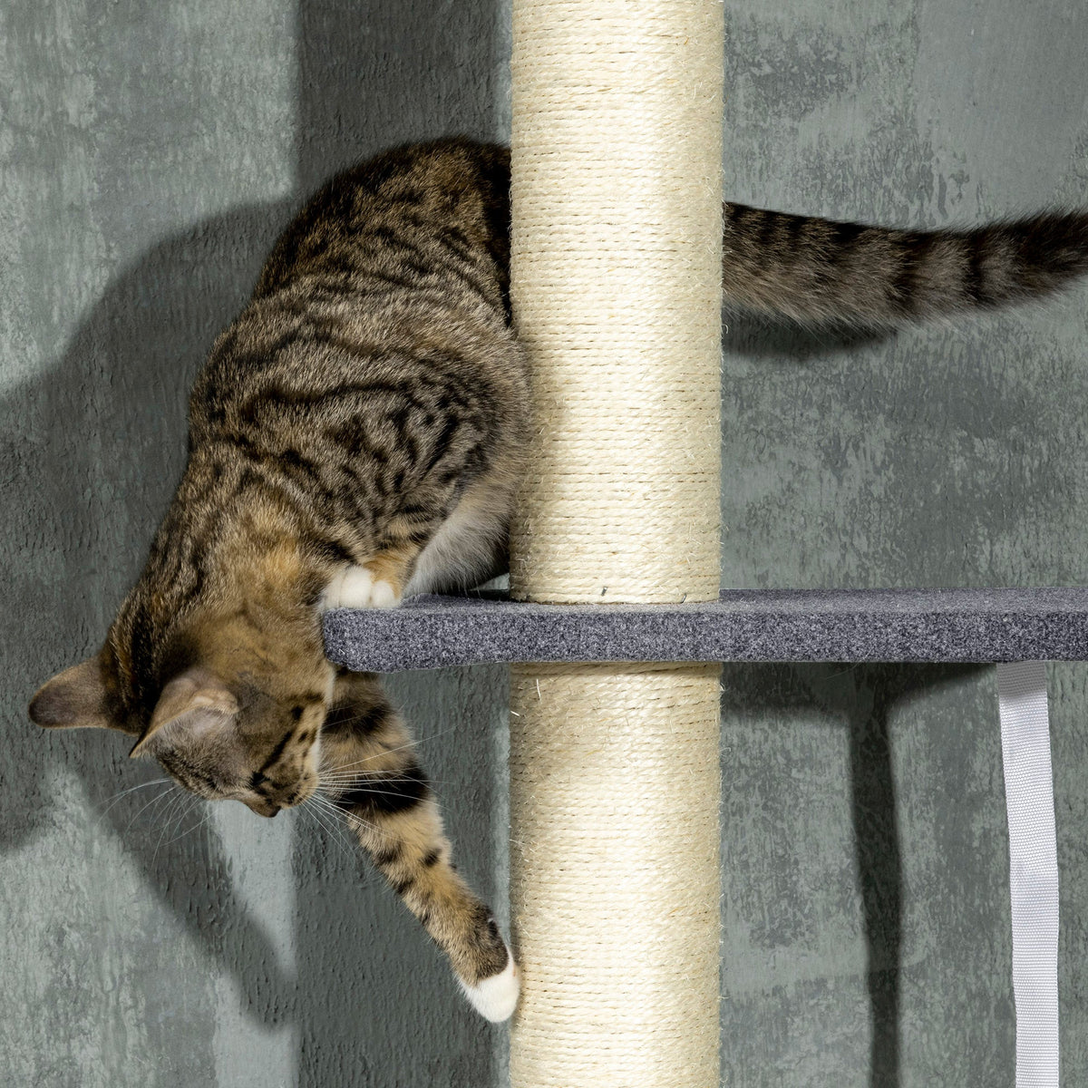 Floor To Ceiling Cat Tree 5-tier Climbing Tower 95-106 Height
