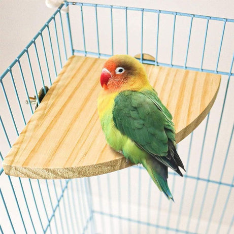 Climbing And Playing Bird Cage Accessories Toy Solid Wood Jumping
