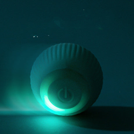 USB Rechargeable Gravity Electric Rolling Ball Cat Toy