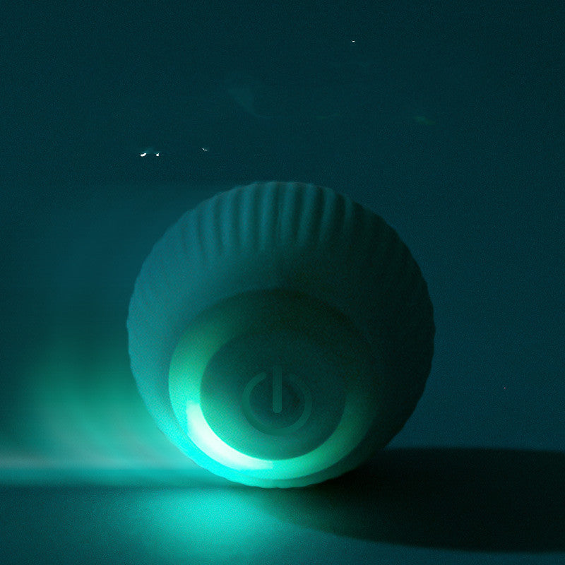 USB Rechargeable Gravity Electric Rolling Ball Cat Toy