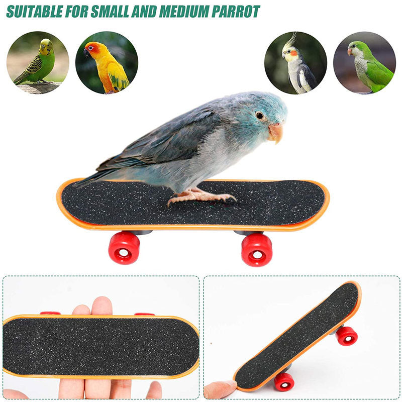 Parrot Toy Bird Supplies Puzzle Training