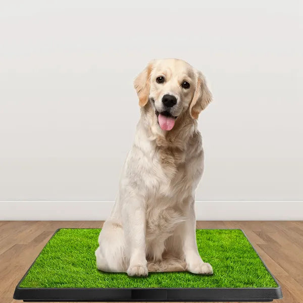 Dog Toilet Indoor Puppy Training Pad Potty Pet Grass Mat Removable