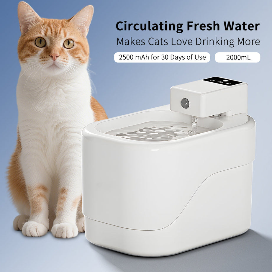 Intelligent Sensor Pet Drinking Fountain 2000ml Large Capacity USB