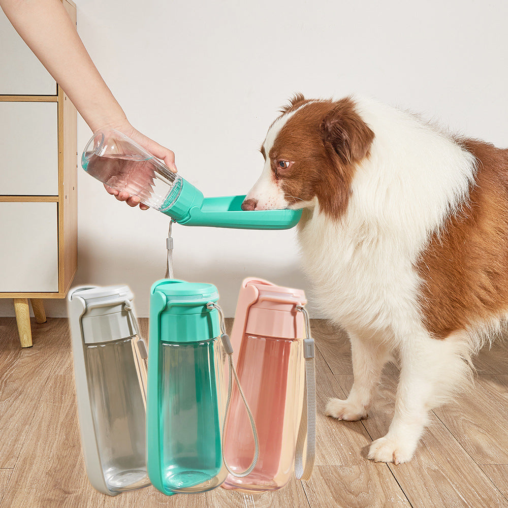 Pet Water Cup Outdoor Portable Folding Dog Bottle 550ml Large