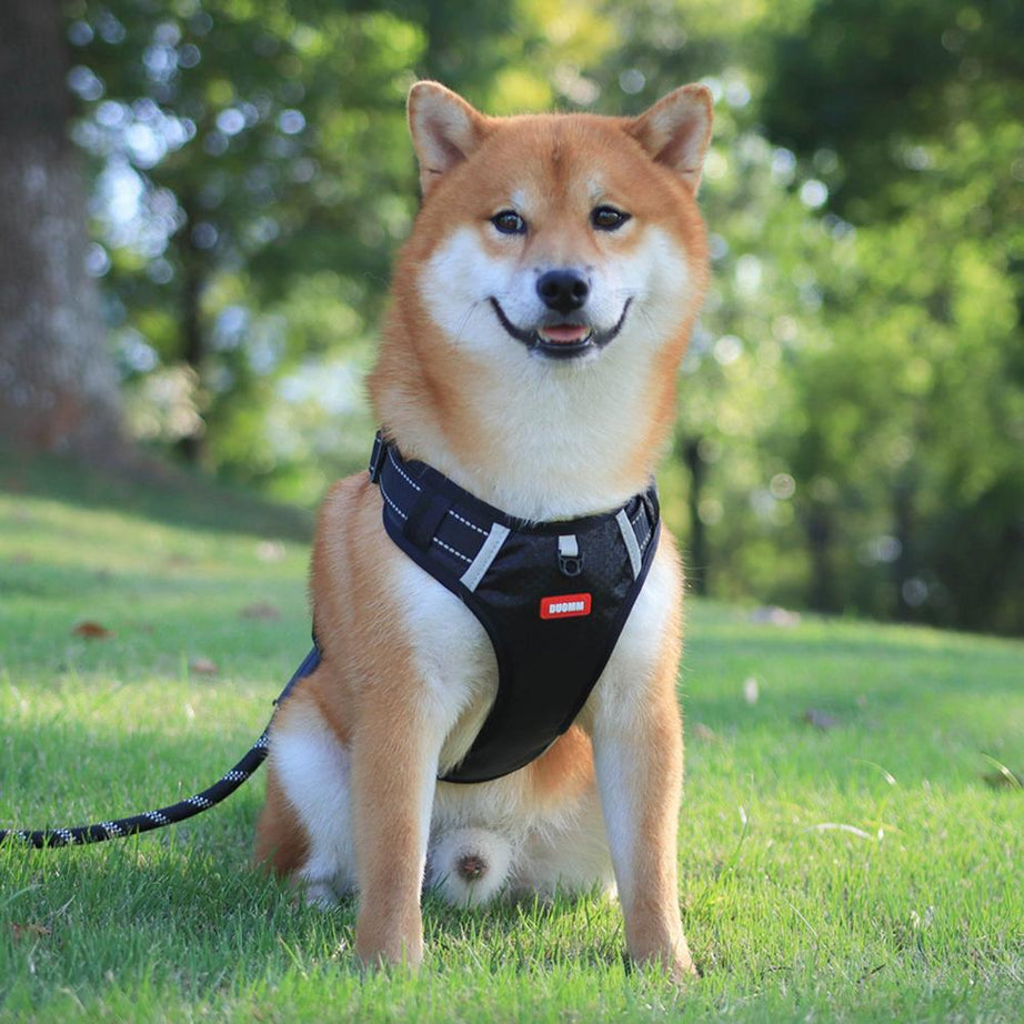 Nylon Dog Harness No Pull Breathable Reflective Pet Vest For Small