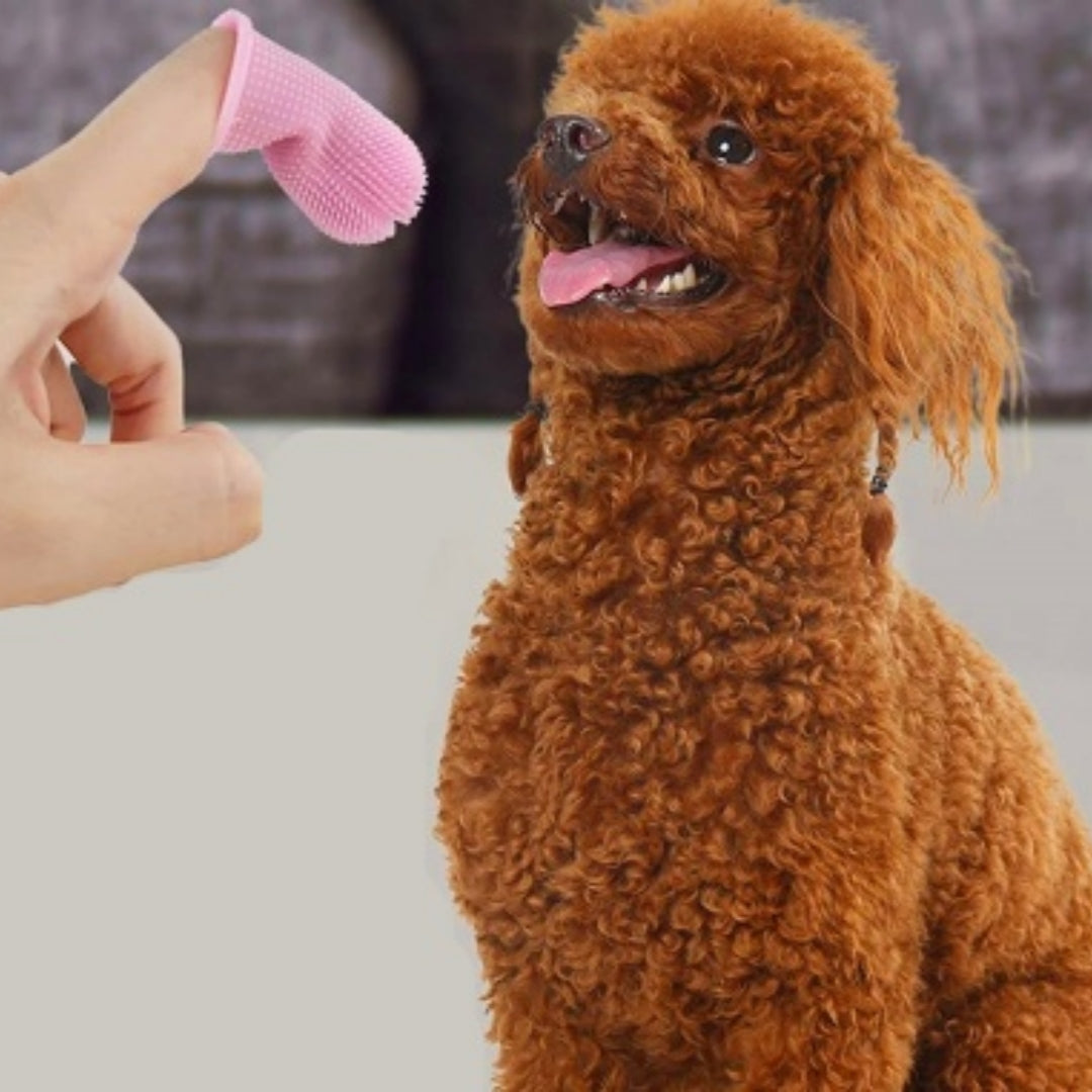 360-degree Silicone Finger Toothbrush For Pets Deep